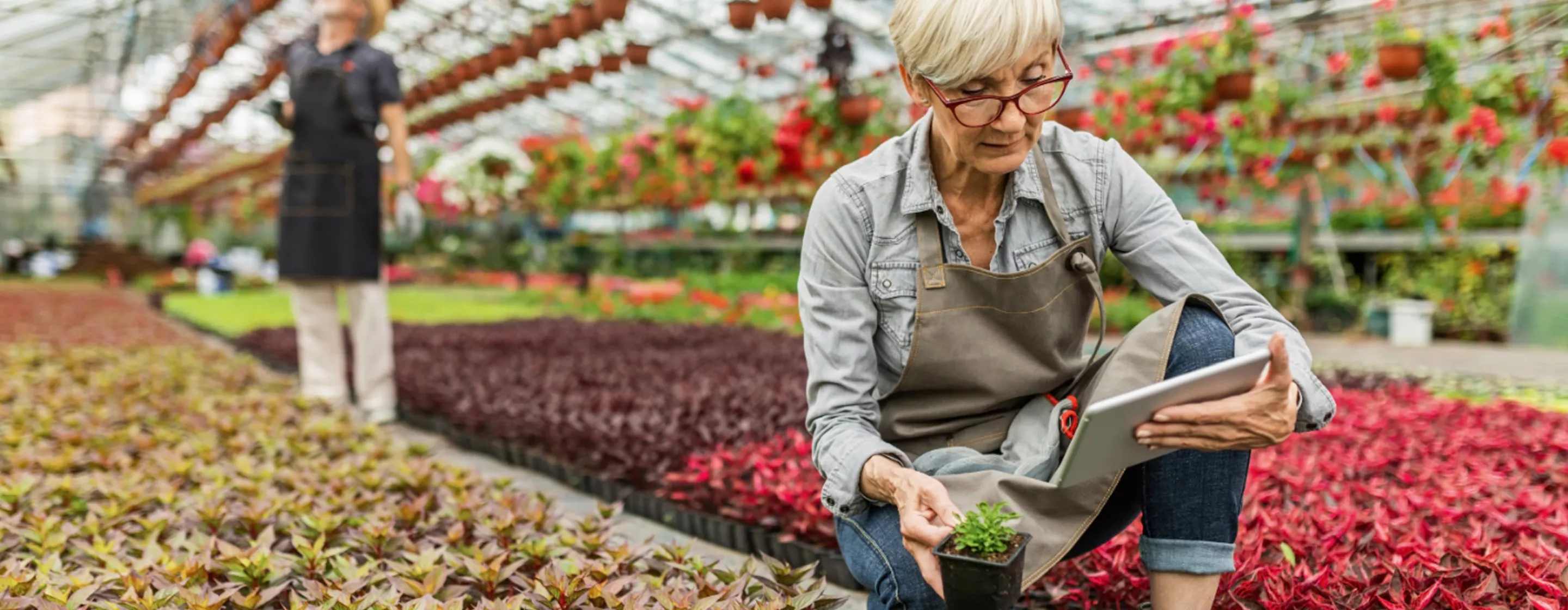 Header Partner werden